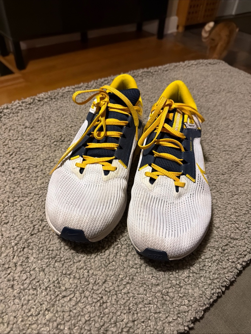 Michigan Nike Air Zoom Pegasus 40 size 10.5 running shoe